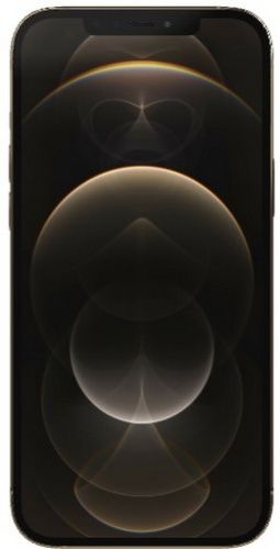 iPhone_12_Pro_Max-Gold-1.jpg
